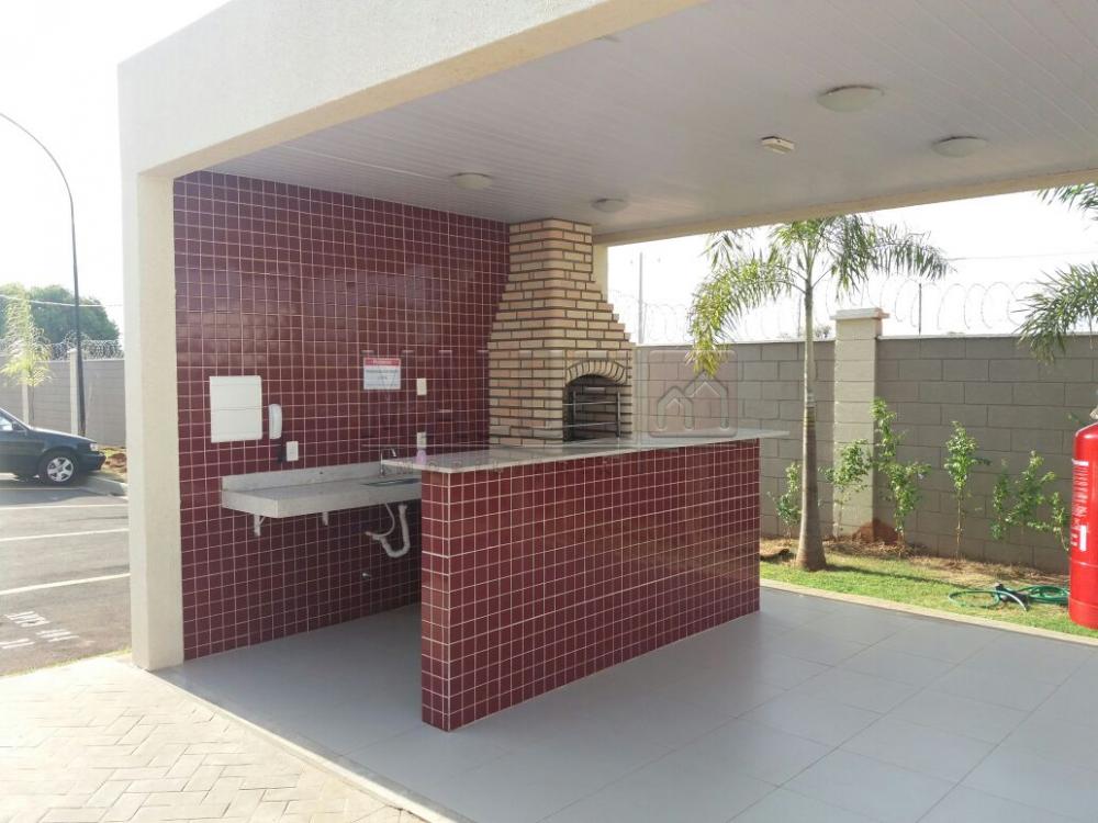 Alugar Apartamentos / Padrão em São José do Rio Preto apenas R$ 800,00 - Foto 1 Alugar Apartamentos / Padrão em São José do Rio Preto apenas R$ 800,00 - Foto 1