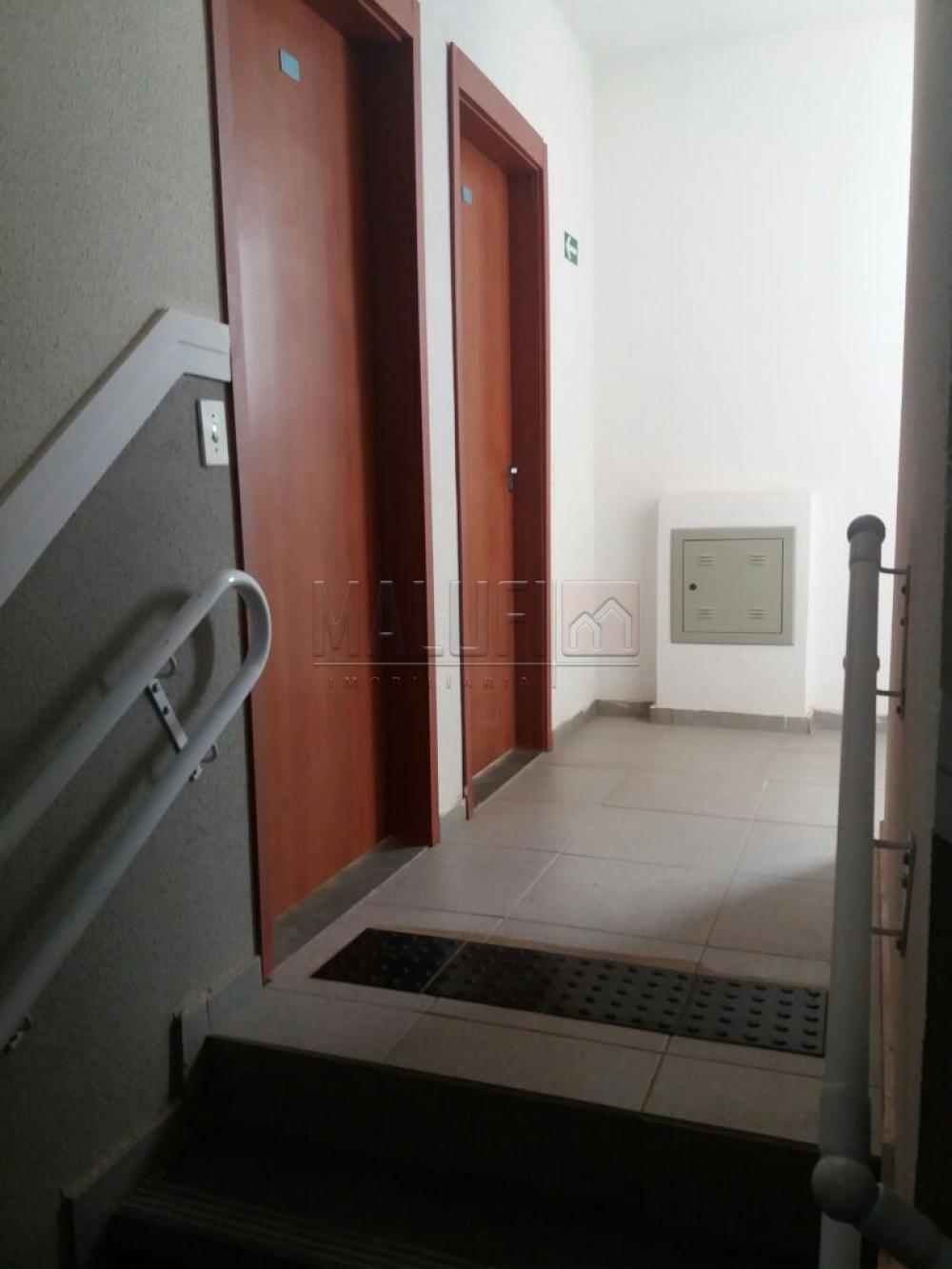 Alugar Apartamentos / Padrão em São José do Rio Preto apenas R$ 800,00 - Foto 4 Alugar Apartamentos / Padrão em São José do Rio Preto apenas R$ 800,00 - Foto 4