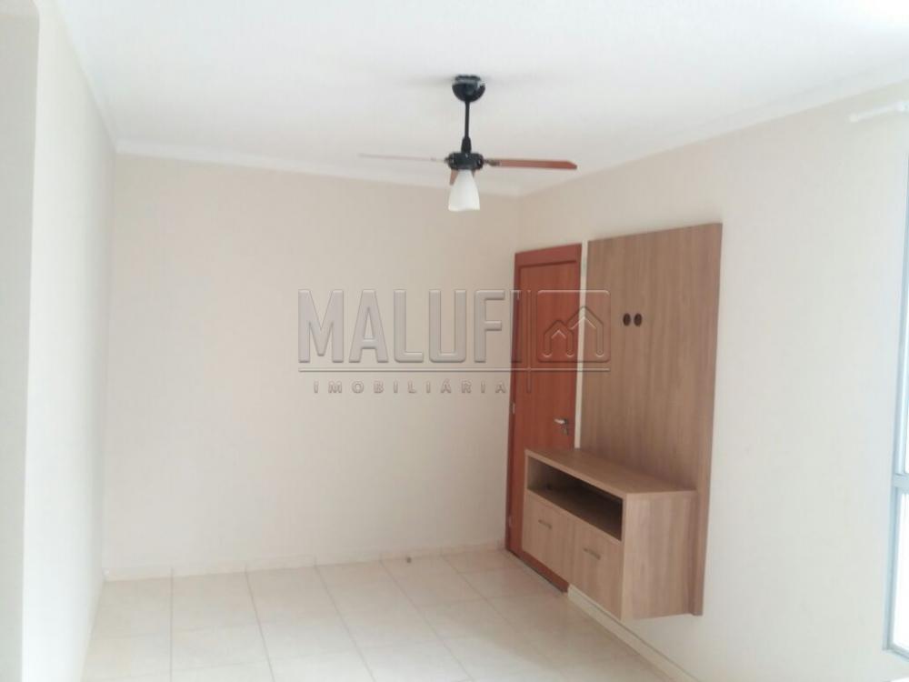 Alugar Apartamentos / Padrão em São José do Rio Preto apenas R$ 800,00 - Foto 13 Alugar Apartamentos / Padrão em São José do Rio Preto apenas R$ 800,00 - Foto 13