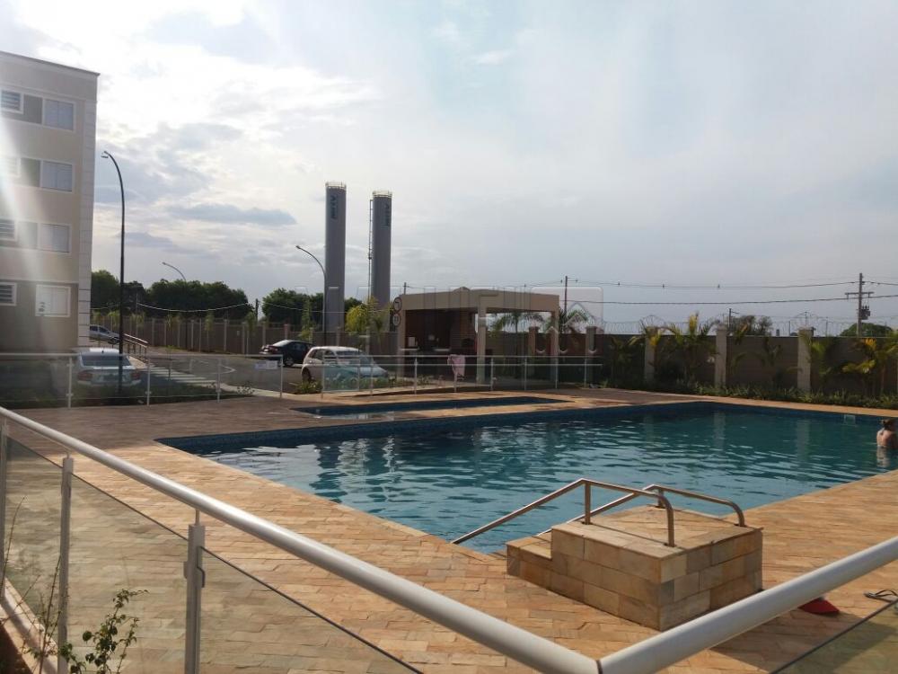 Alugar Apartamentos / Padrão em São José do Rio Preto apenas R$ 800,00 - Foto 3 Alugar Apartamentos / Padrão em São José do Rio Preto apenas R$ 800,00 - Foto 3
