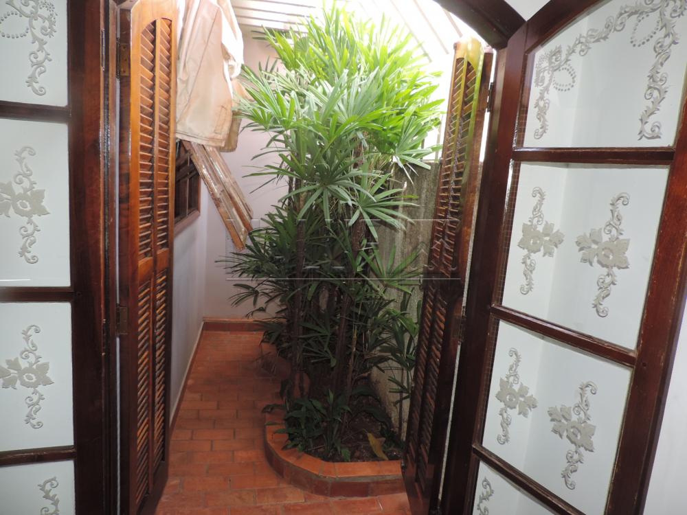 Comprar Casas / Padrão em Olímpia apenas R$ 350.000,00 - Foto 4 Comprar Casas / Padrão em Olímpia apenas R$ 350.000,00 - Foto 4