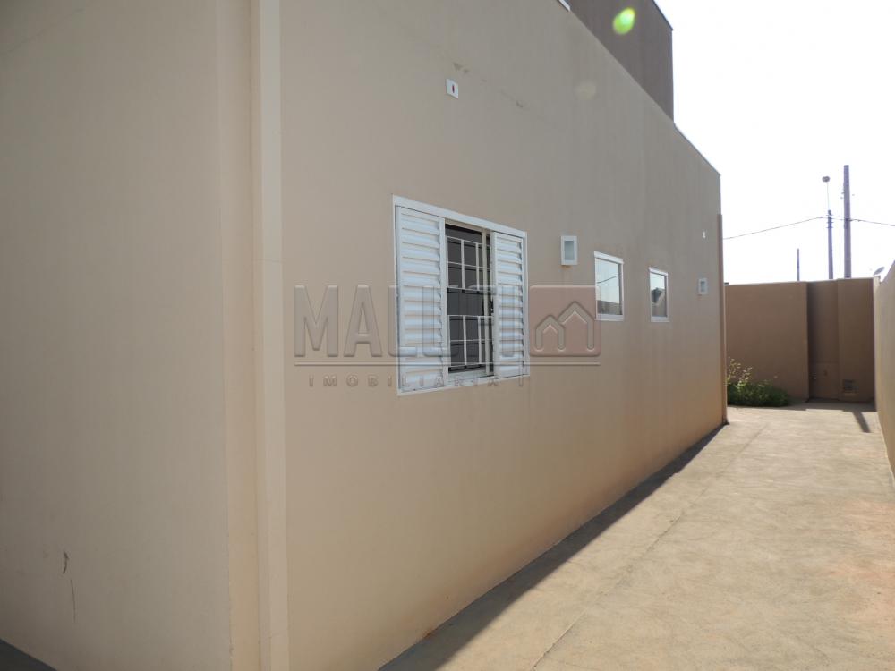 Alugar Casas / Padrão em Olímpia apenas R$ 1.100,00 - Foto 14 Alugar Casas / Padrão em Olímpia apenas R$ 1.100,00 - Foto 14