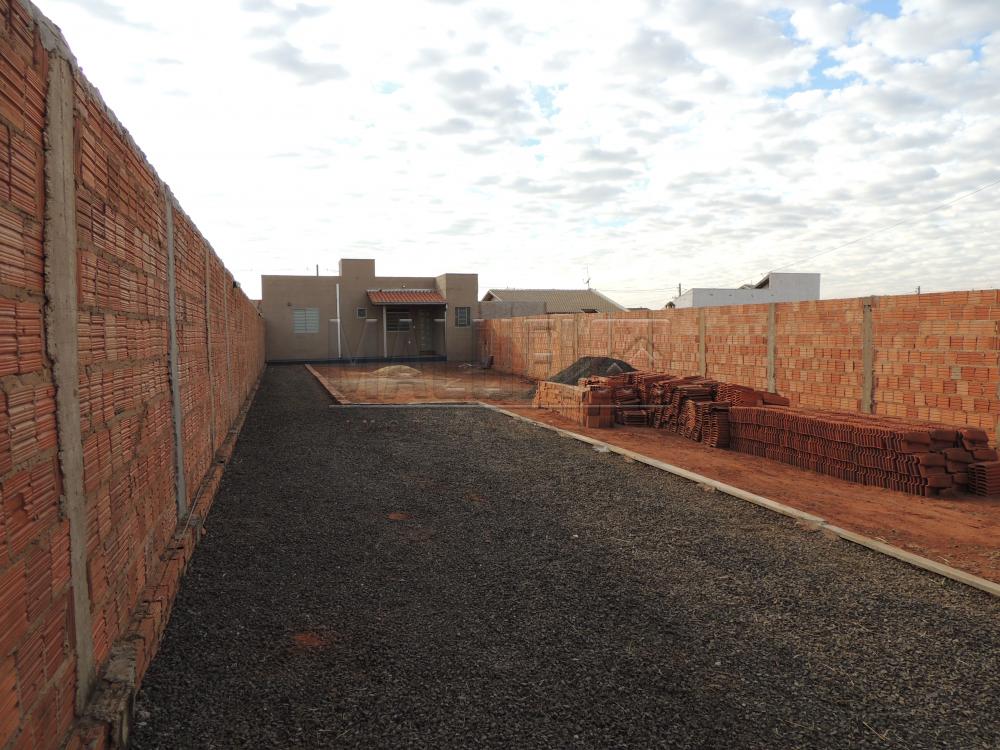 Alugar Casas / Padrão em Olímpia apenas R$ 500,00 - Foto 1 Alugar Casas / Padrão em Olímpia apenas R$ 500,00 - Foto 1