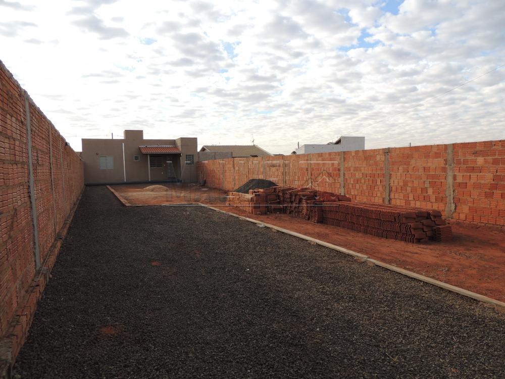 Alugar Casas / Padrão em Olímpia apenas R$ 500,00 - Foto 2 Alugar Casas / Padrão em Olímpia apenas R$ 500,00 - Foto 2