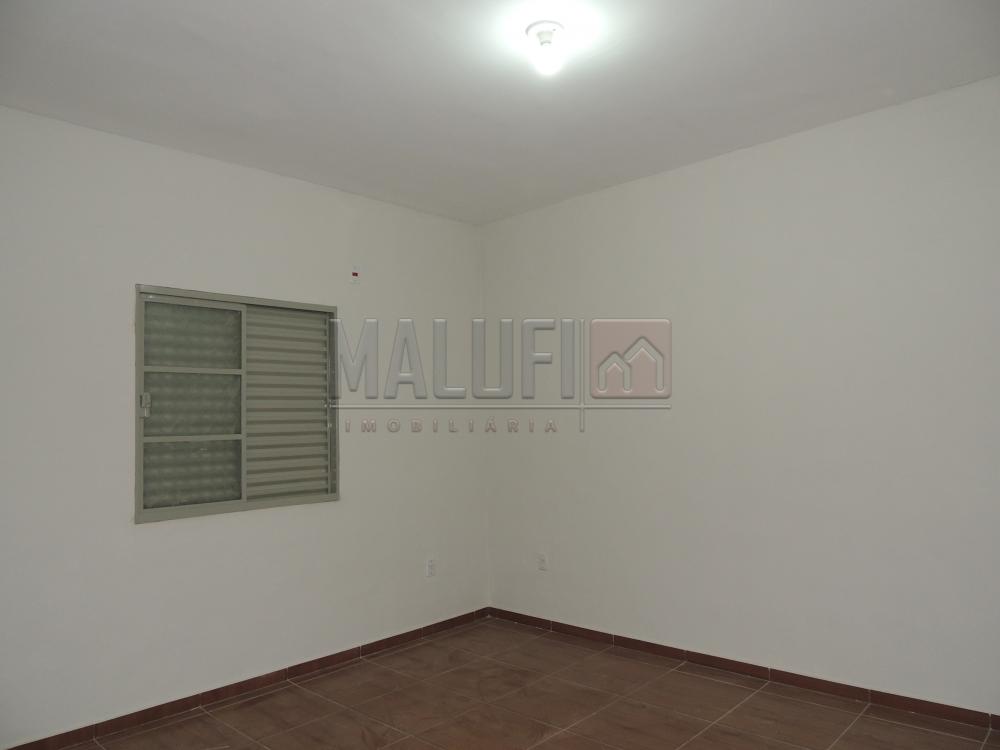 Alugar Casas / Padrão em Olímpia apenas R$ 500,00 - Foto 5 Alugar Casas / Padrão em Olímpia apenas R$ 500,00 - Foto 5