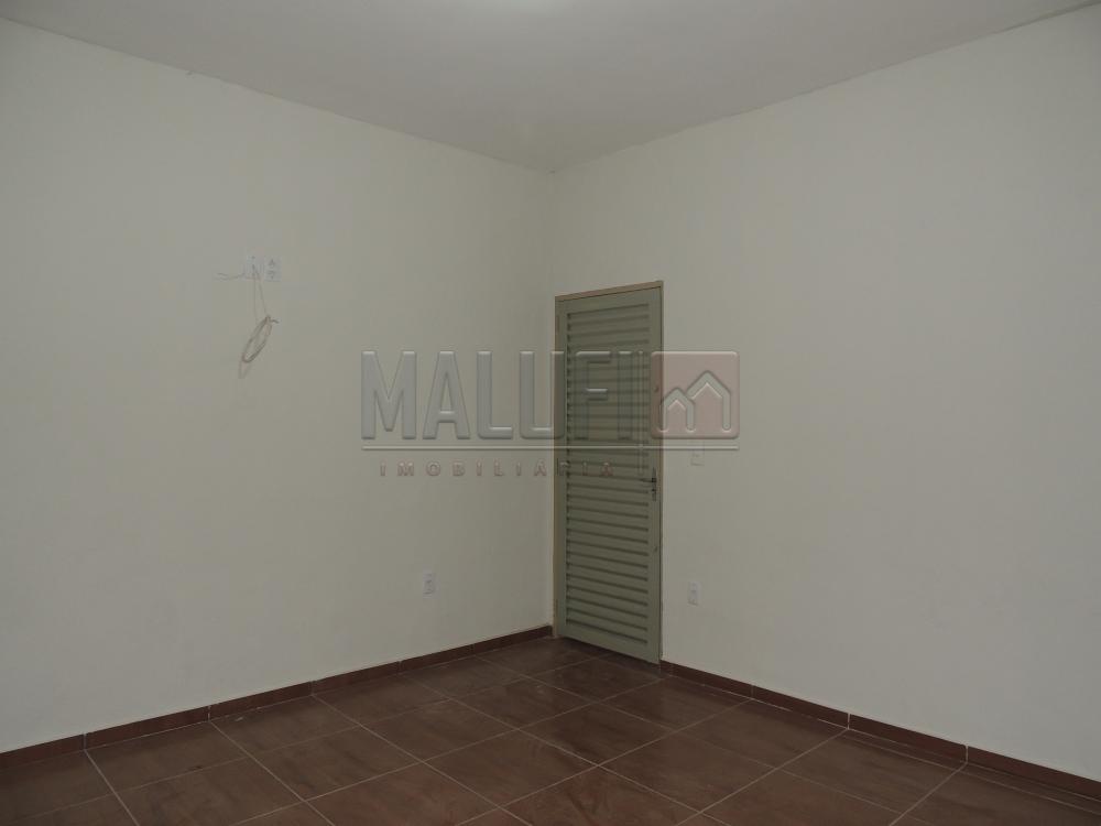 Alugar Casas / Padrão em Olímpia apenas R$ 500,00 - Foto 6 Alugar Casas / Padrão em Olímpia apenas R$ 500,00 - Foto 6