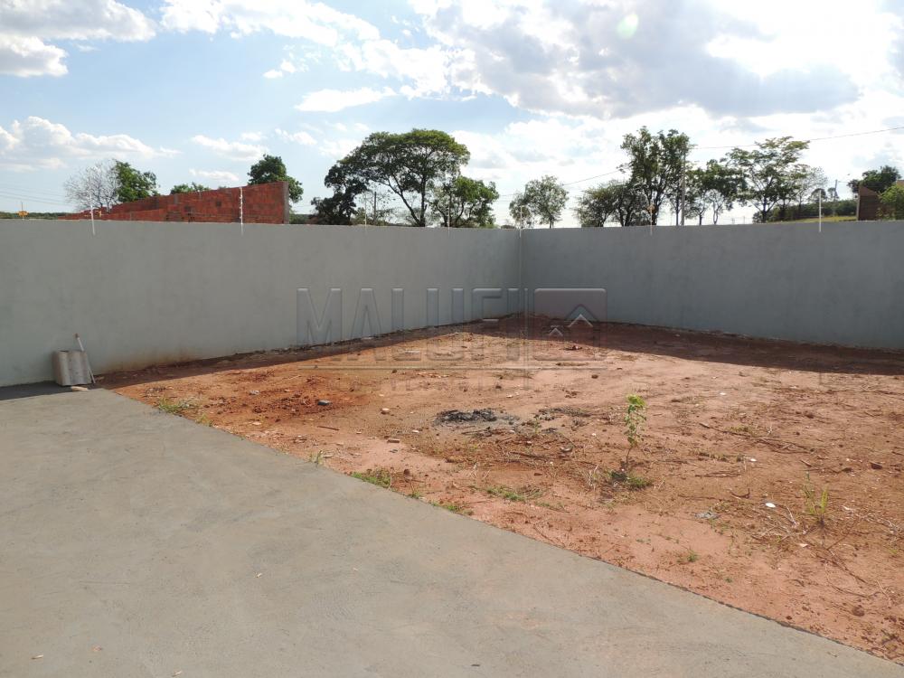 Alugar Casas / Padrão em Olímpia apenas R$ 1.200,00 - Foto 13 Alugar Casas / Padrão em Olímpia apenas R$ 1.200,00 - Foto 13