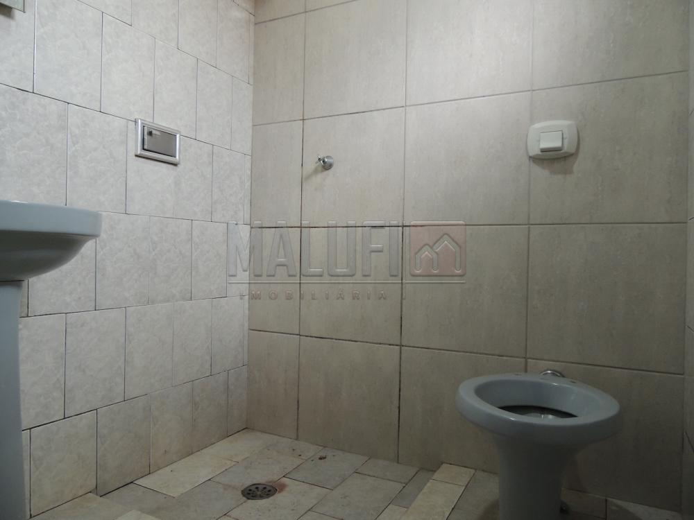 Alugar Casas / Padrão em Olímpia apenas R$ 900,00 - Foto 6 Alugar Casas / Padrão em Olímpia apenas R$ 900,00 - Foto 6