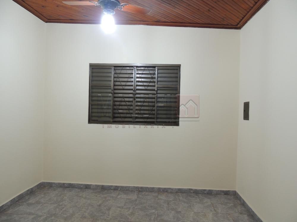 Alugar Casas / Padrão em Olímpia apenas R$ 900,00 - Foto 7 Alugar Casas / Padrão em Olímpia apenas R$ 900,00 - Foto 7