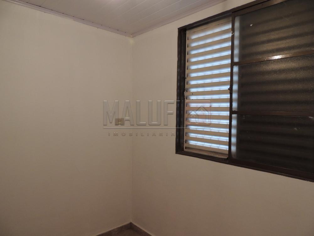 Alugar Casas / Padrão em Olímpia apenas R$ 900,00 - Foto 11 Alugar Casas / Padrão em Olímpia apenas R$ 900,00 - Foto 11