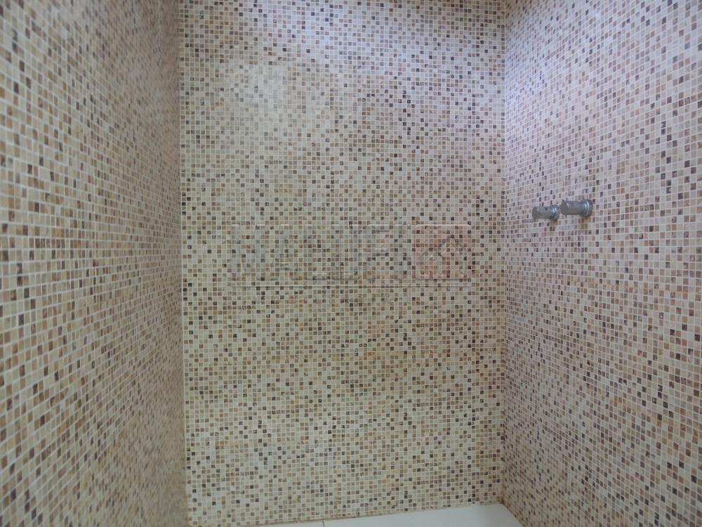 Alugar Casas / Padrão em Olímpia apenas R$ 1.900,00 - Foto 15 Alugar Casas / Padrão em Olímpia apenas R$ 1.900,00 - Foto 15