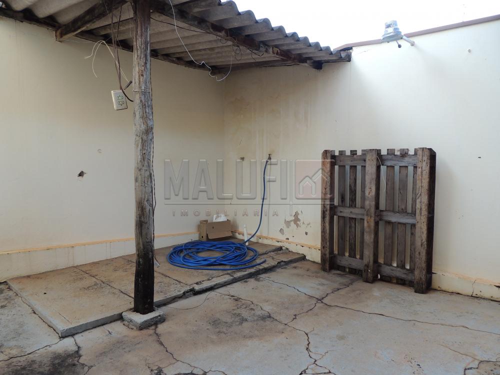 Alugar Casas / Padrão em Olímpia apenas R$ 2.500,00 - Foto 11 Alugar Casas / Padrão em Olímpia apenas R$ 2.500,00 - Foto 11