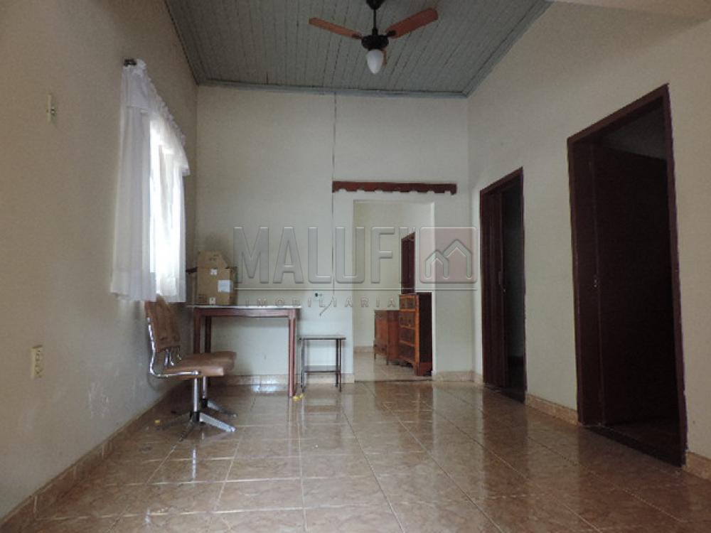 Comprar Casas / Padrão em Olímpia apenas R$ 170.000,00 - Foto 2 Comprar Casas / Padrão em Olímpia apenas R$ 170.000,00 - Foto 2