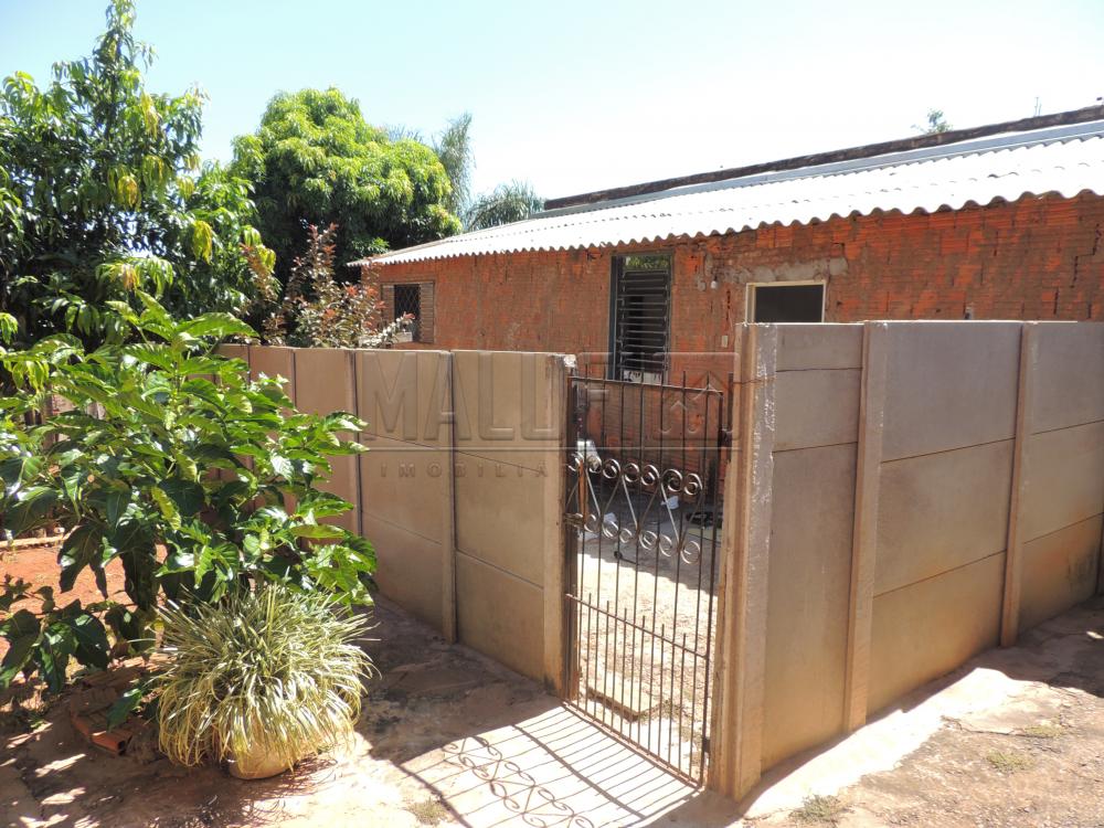 Comprar Casas / Padrão em Olímpia apenas R$ 200.000,00 - Foto 13 Comprar Casas / Padrão em Olímpia apenas R$ 200.000,00 - Foto 13