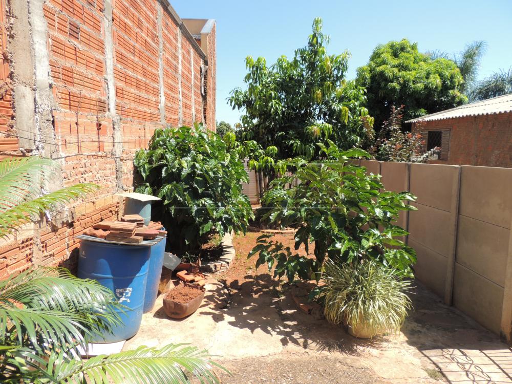 Comprar Casas / Padrão em Olímpia apenas R$ 200.000,00 - Foto 12 Comprar Casas / Padrão em Olímpia apenas R$ 200.000,00 - Foto 12