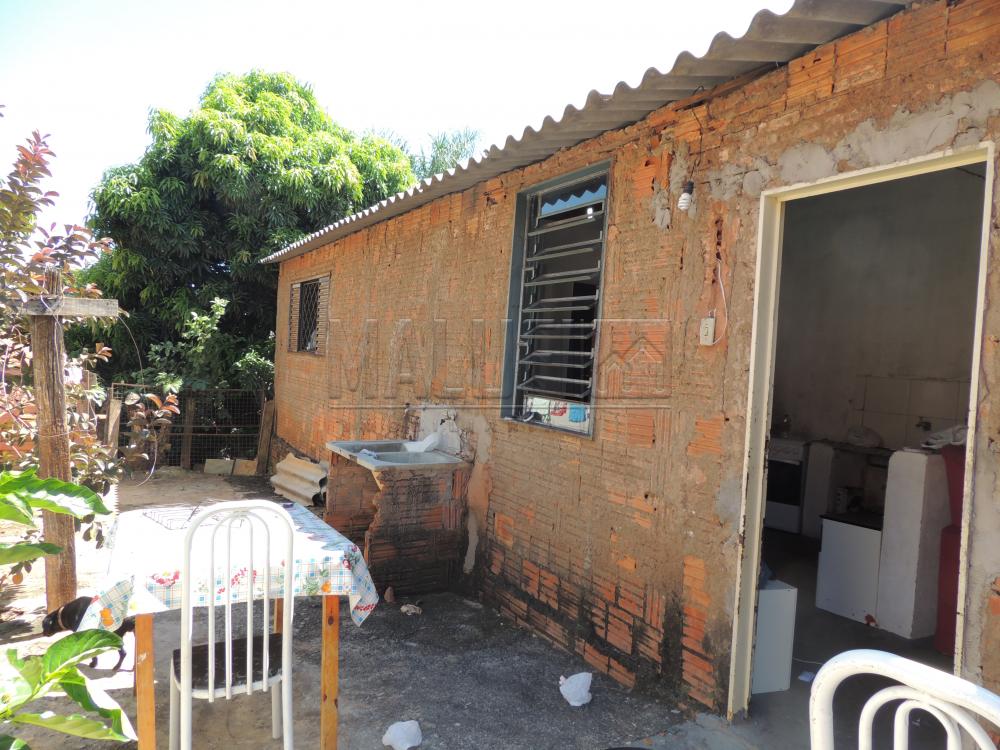 Comprar Casas / Padrão em Olímpia apenas R$ 200.000,00 - Foto 11 Comprar Casas / Padrão em Olímpia apenas R$ 200.000,00 - Foto 11