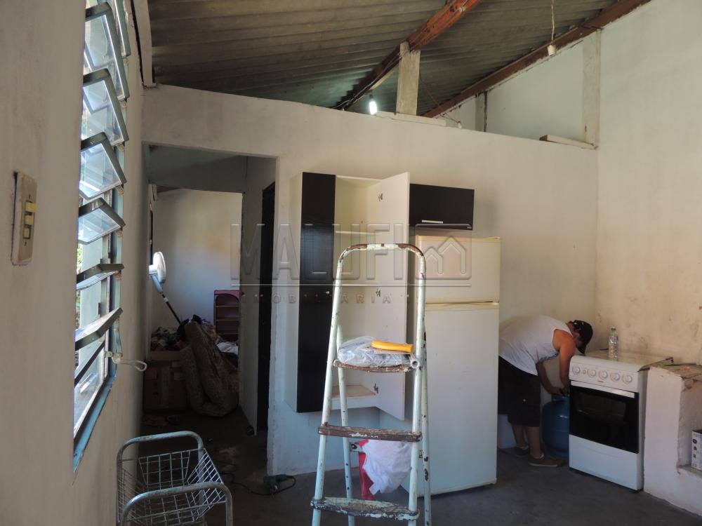 Comprar Casas / Padrão em Olímpia apenas R$ 200.000,00 - Foto 10 Comprar Casas / Padrão em Olímpia apenas R$ 200.000,00 - Foto 10