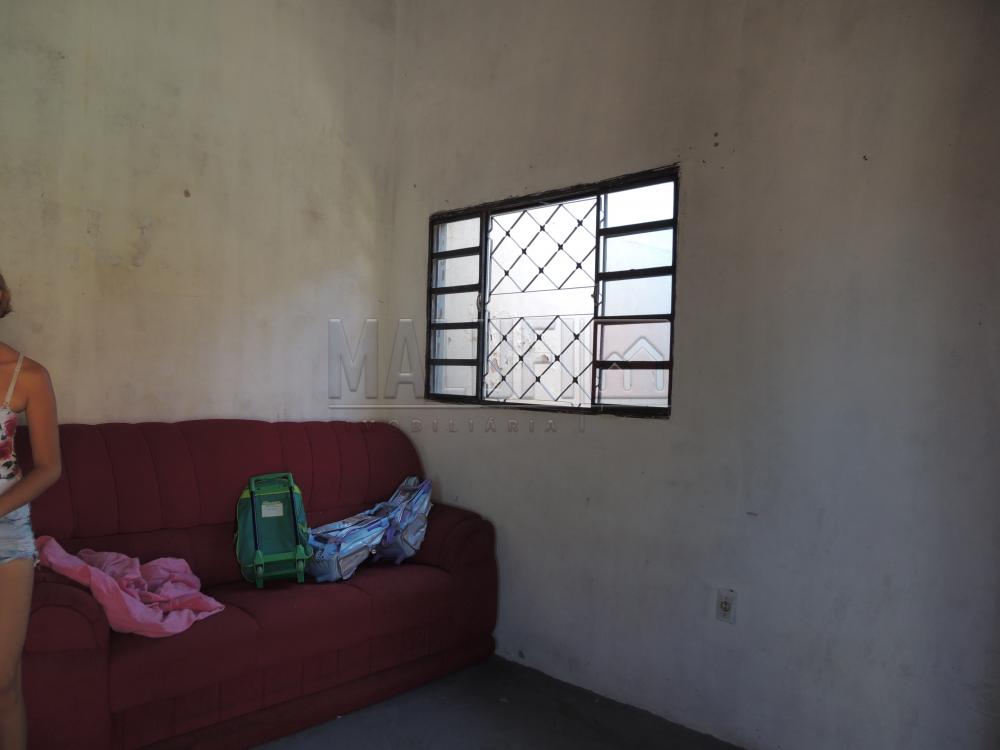 Comprar Casas / Padrão em Olímpia apenas R$ 200.000,00 - Foto 9 Comprar Casas / Padrão em Olímpia apenas R$ 200.000,00 - Foto 9