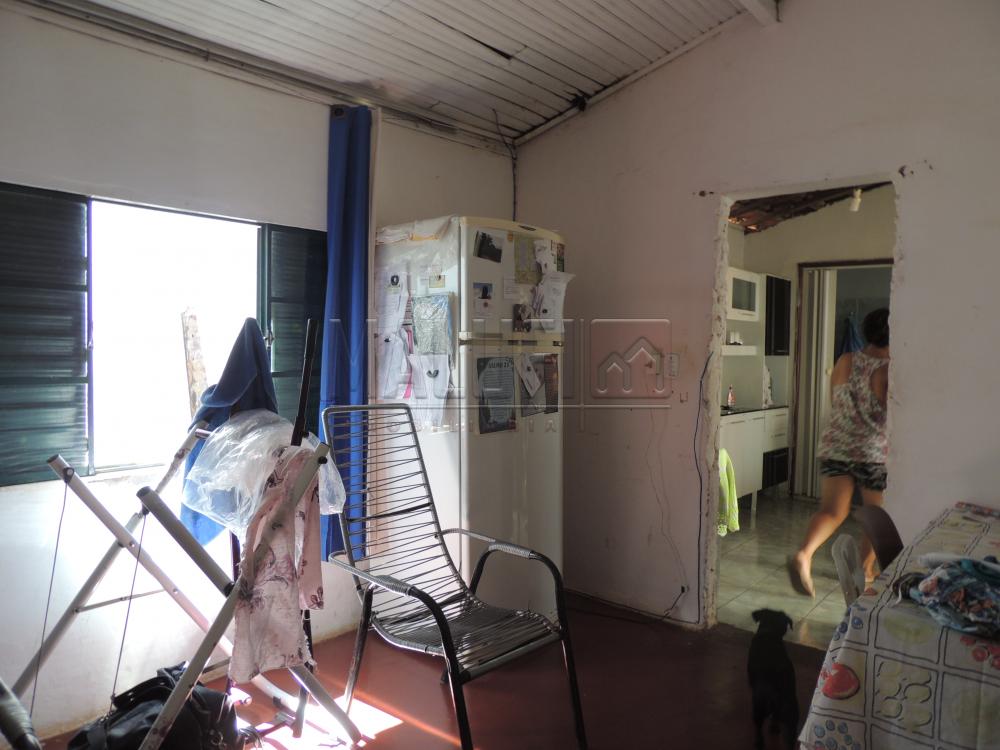 Comprar Casas / Padrão em Olímpia apenas R$ 200.000,00 - Foto 3 Comprar Casas / Padrão em Olímpia apenas R$ 200.000,00 - Foto 3