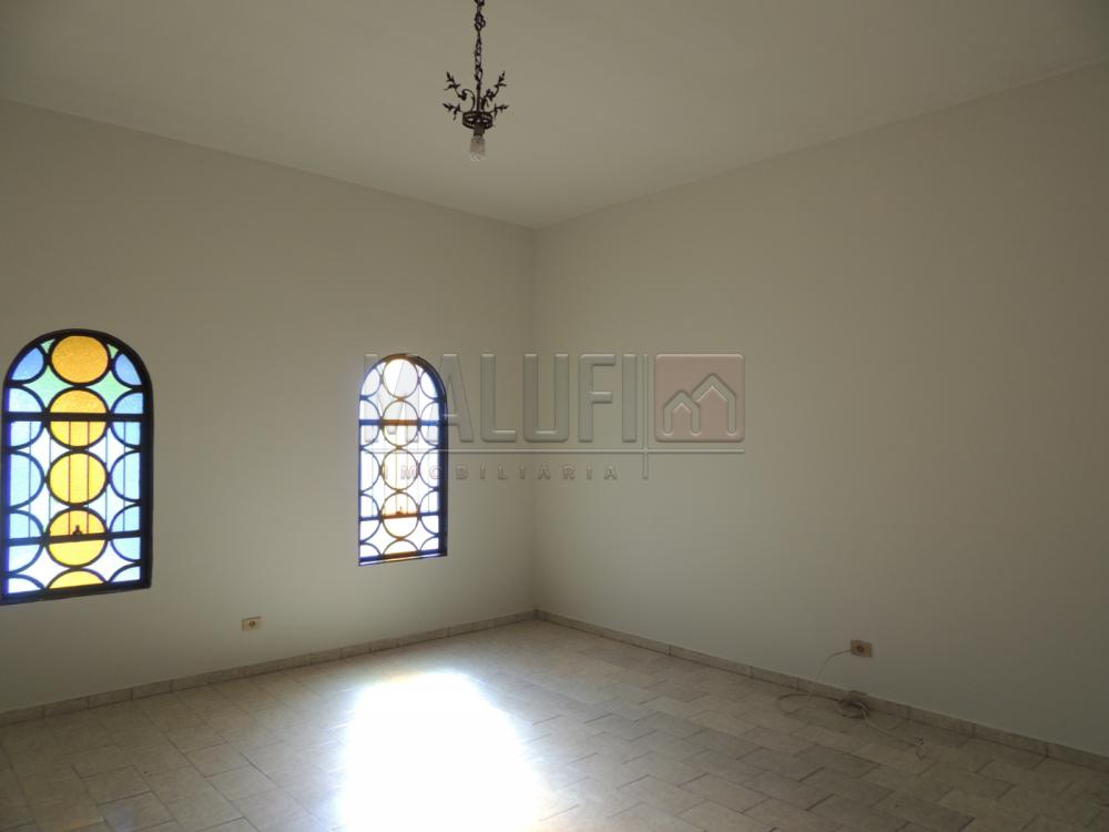 Alugar Casas / Padrão em Olímpia apenas R$ 1.700,00 - Foto 2 Alugar Casas / Padrão em Olímpia apenas R$ 1.700,00 - Foto 2