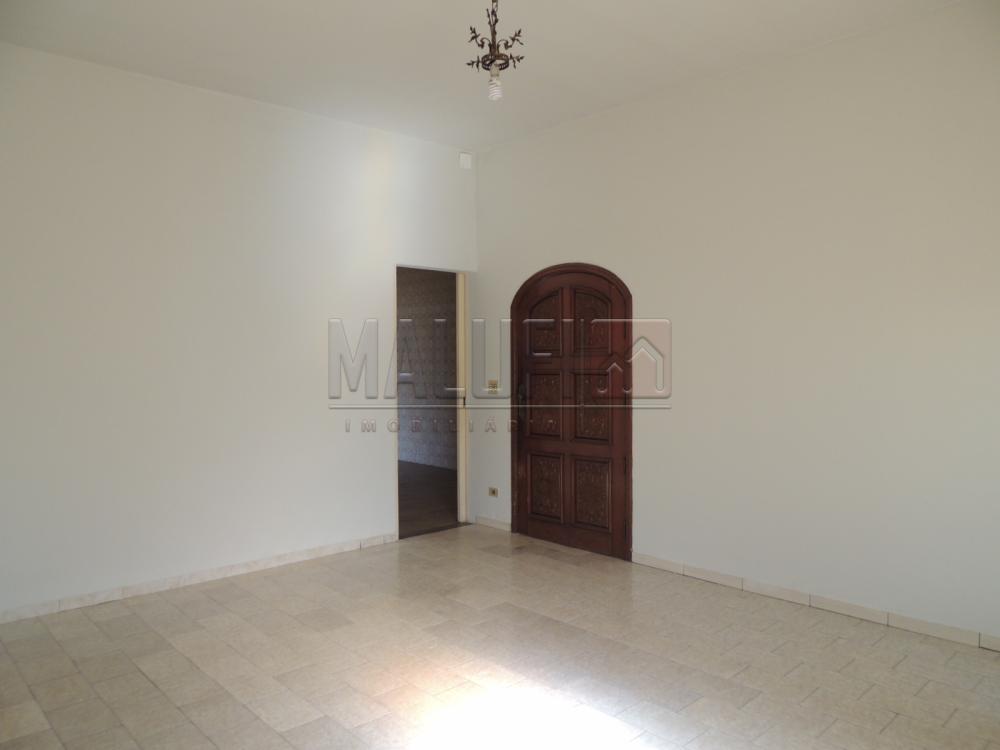 Alugar Casas / Padrão em Olímpia apenas R$ 1.700,00 - Foto 1 Alugar Casas / Padrão em Olímpia apenas R$ 1.700,00 - Foto 1
