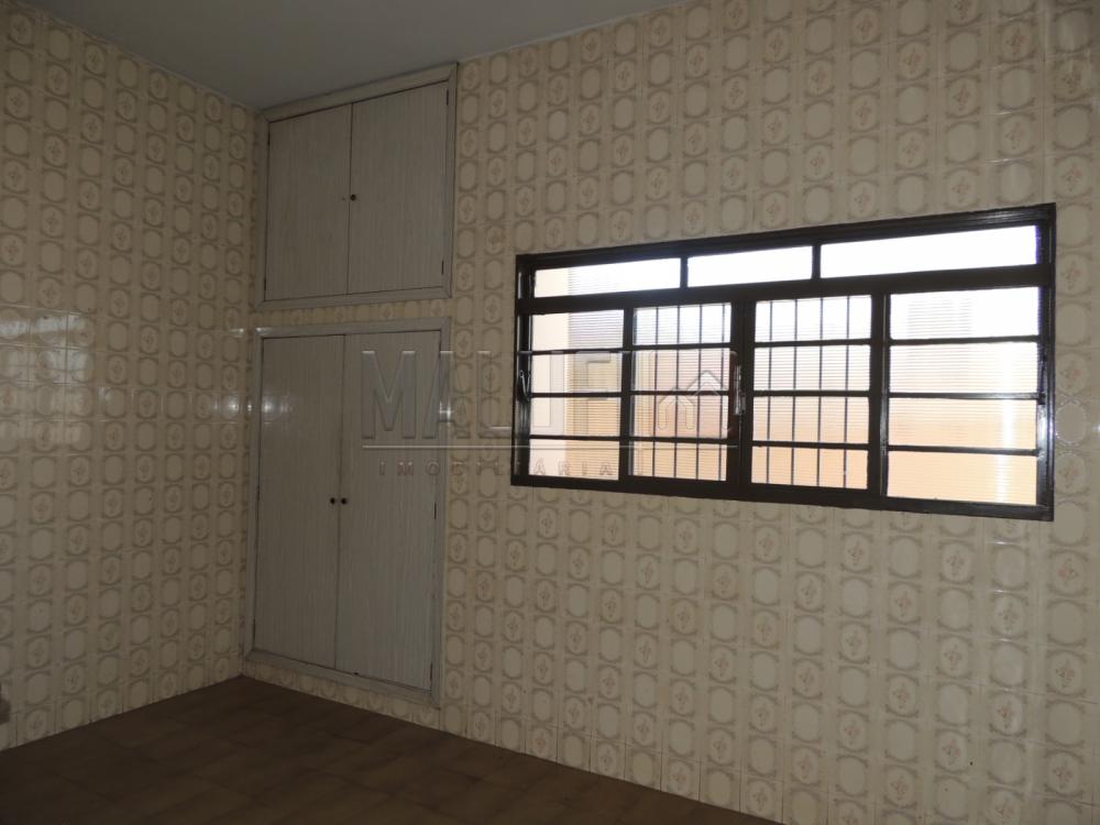 Alugar Casas / Padrão em Olímpia apenas R$ 1.700,00 - Foto 3 Alugar Casas / Padrão em Olímpia apenas R$ 1.700,00 - Foto 3