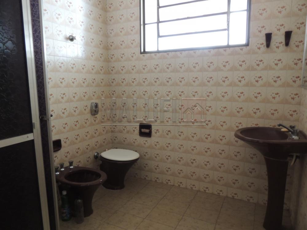 Alugar Casas / Padrão em Olímpia apenas R$ 1.700,00 - Foto 6 Alugar Casas / Padrão em Olímpia apenas R$ 1.700,00 - Foto 6
