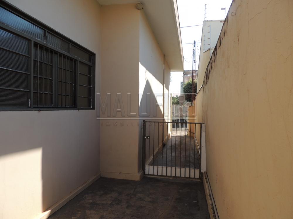 Alugar Casas / Padrão em Olímpia apenas R$ 1.700,00 - Foto 8 Alugar Casas / Padrão em Olímpia apenas R$ 1.700,00 - Foto 8