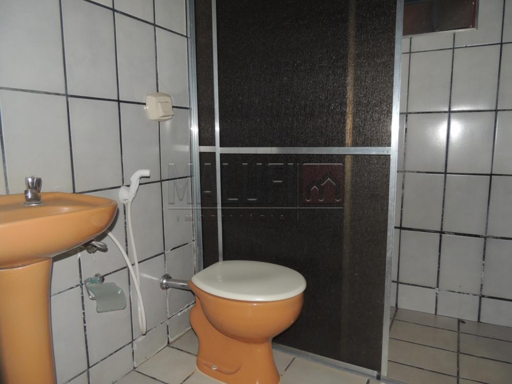 Alugar Casas / Padrão em Olímpia R$ 1.200,00 - Foto 5 Alugar Casas / Padrão em Olímpia R$ 1.200,00 - Foto 5