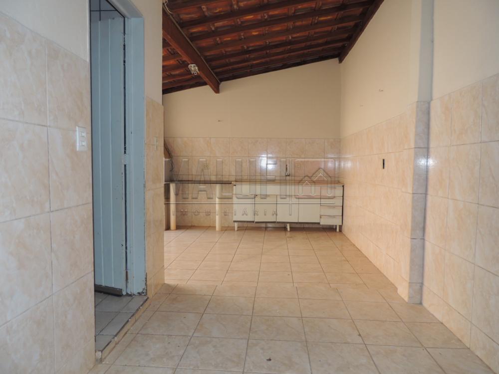 Alugar Casas / Padrão em Olímpia R$ 1.200,00 - Foto 13 Alugar Casas / Padrão em Olímpia R$ 1.200,00 - Foto 13