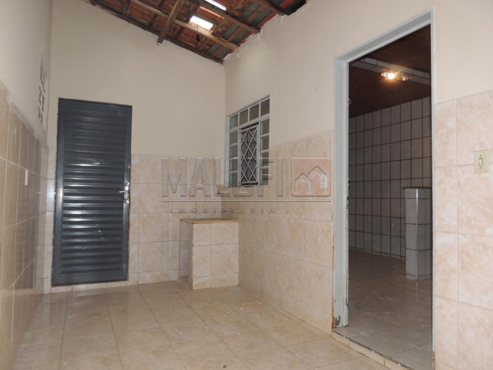 Alugar Casas / Padrão em Olímpia R$ 1.200,00 - Foto 16 Alugar Casas / Padrão em Olímpia R$ 1.200,00 - Foto 16