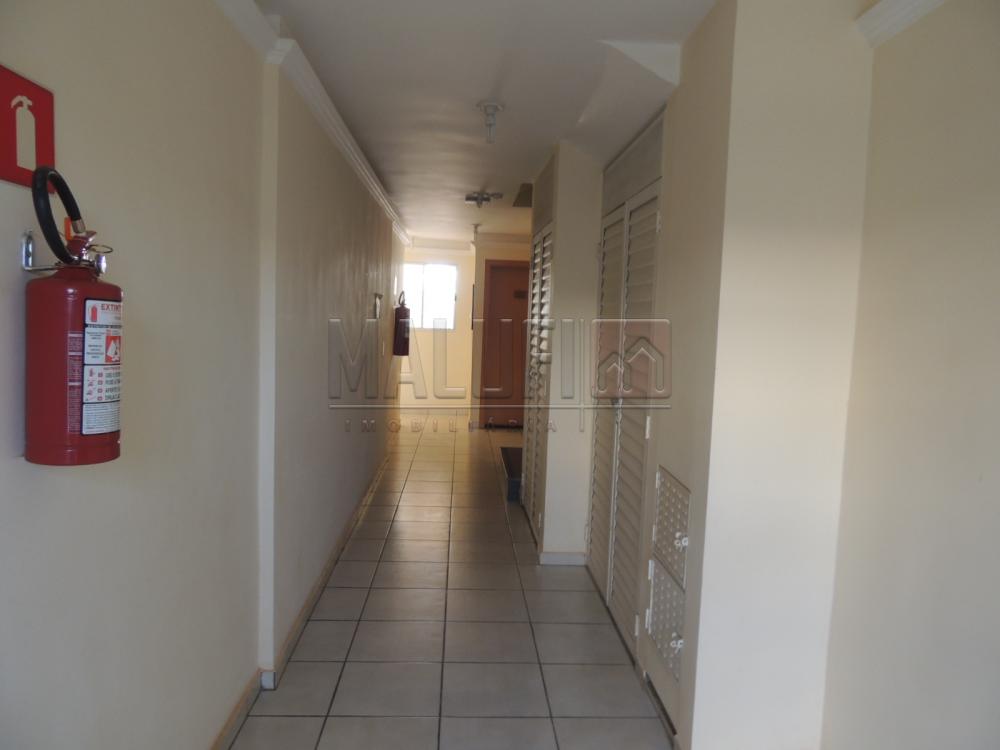 Alugar Apartamentos / Padrão em Olímpia apenas R$ 800,00 - Foto 3 Alugar Apartamentos / Padrão em Olímpia apenas R$ 800,00 - Foto 3