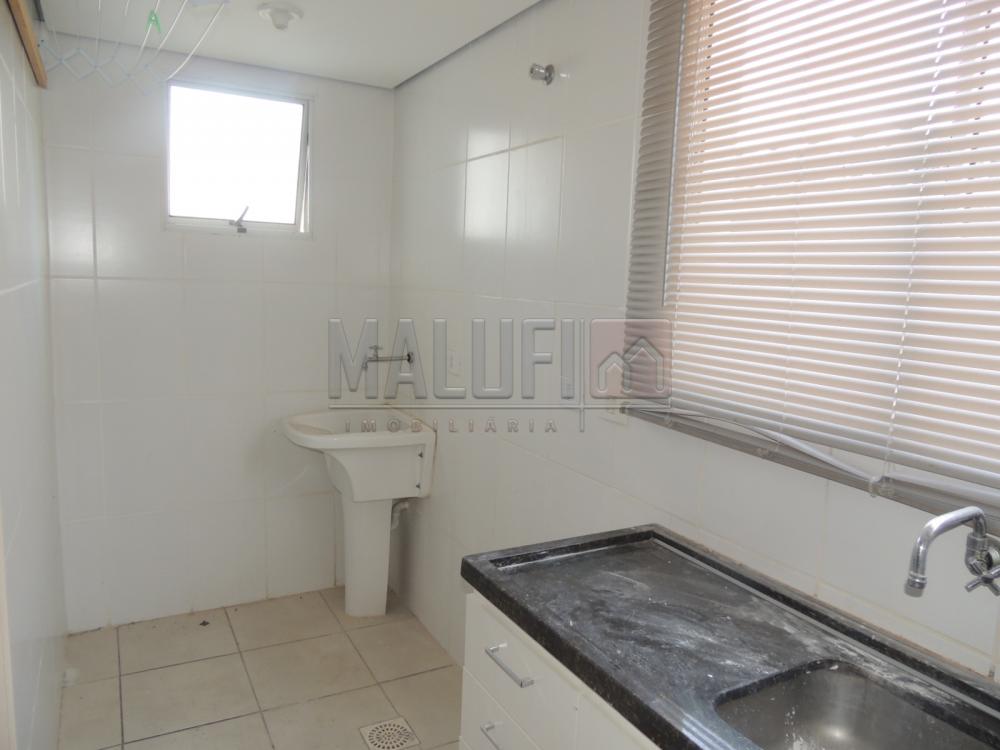 Alugar Apartamentos / Padrão em Olímpia apenas R$ 800,00 - Foto 6 Alugar Apartamentos / Padrão em Olímpia apenas R$ 800,00 - Foto 6