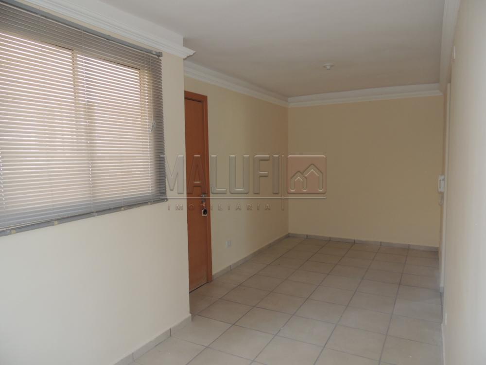 Alugar Apartamentos / Padrão em Olímpia apenas R$ 800,00 - Foto 7 Alugar Apartamentos / Padrão em Olímpia apenas R$ 800,00 - Foto 7
