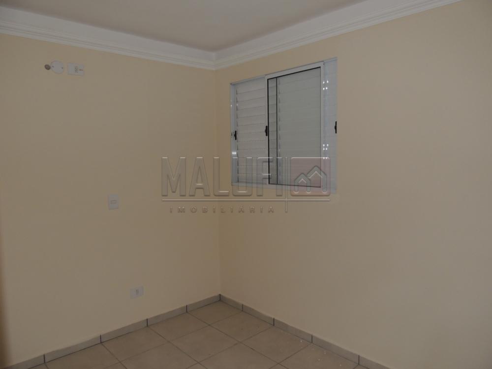 Alugar Apartamentos / Padrão em Olímpia apenas R$ 800,00 - Foto 8 Alugar Apartamentos / Padrão em Olímpia apenas R$ 800,00 - Foto 8