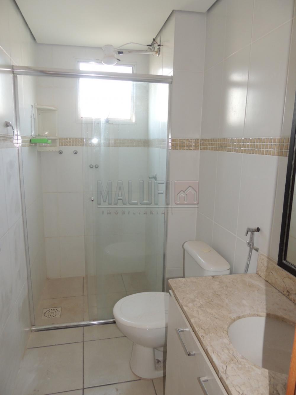 Alugar Apartamentos / Padrão em Olímpia apenas R$ 800,00 - Foto 9 Alugar Apartamentos / Padrão em Olímpia apenas R$ 800,00 - Foto 9
