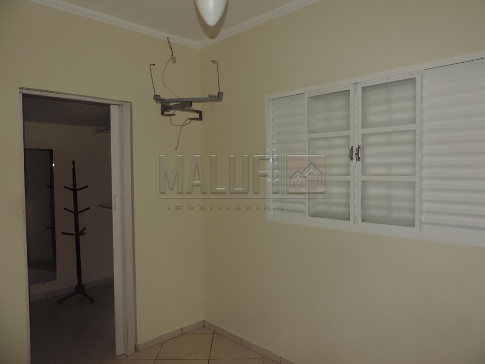 Alugar Casas / Padrão em Olímpia apenas R$ 1.300,00 - Foto 4 Alugar Casas / Padrão em Olímpia apenas R$ 1.300,00 - Foto 4