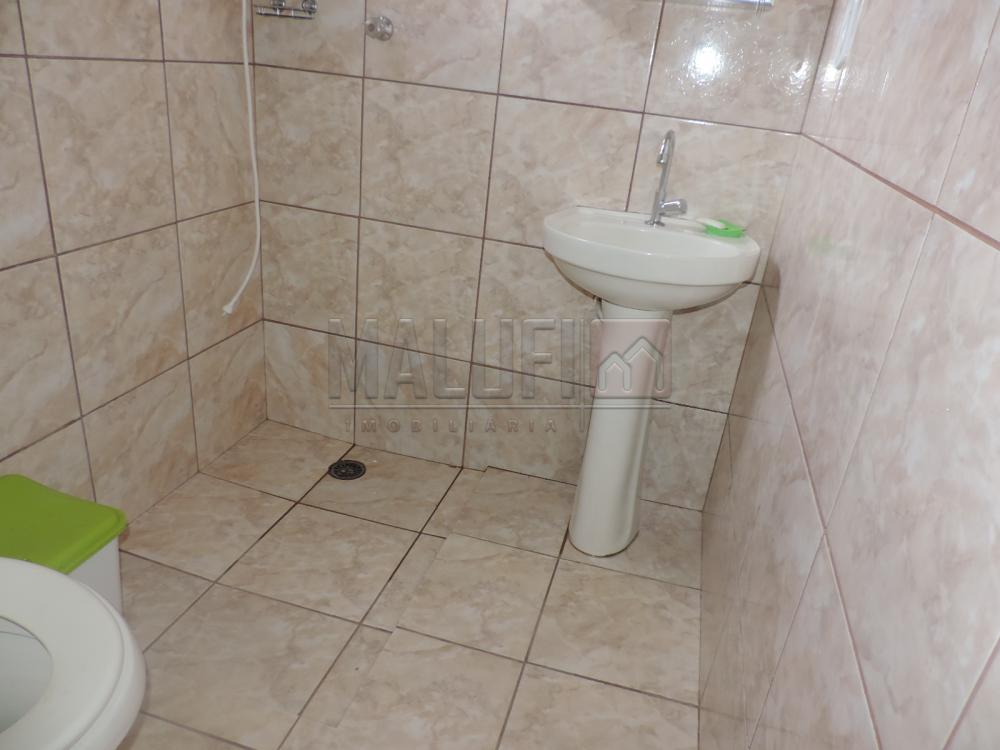 Alugar Casas / Padrão em Olímpia apenas R$ 1.300,00 - Foto 10 Alugar Casas / Padrão em Olímpia apenas R$ 1.300,00 - Foto 10