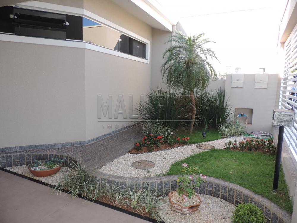 Alugar Casas / Padrão em Olímpia apenas R$ 2.900,00 - Foto 1 Alugar Casas / Padrão em Olímpia apenas R$ 2.900,00 - Foto 1