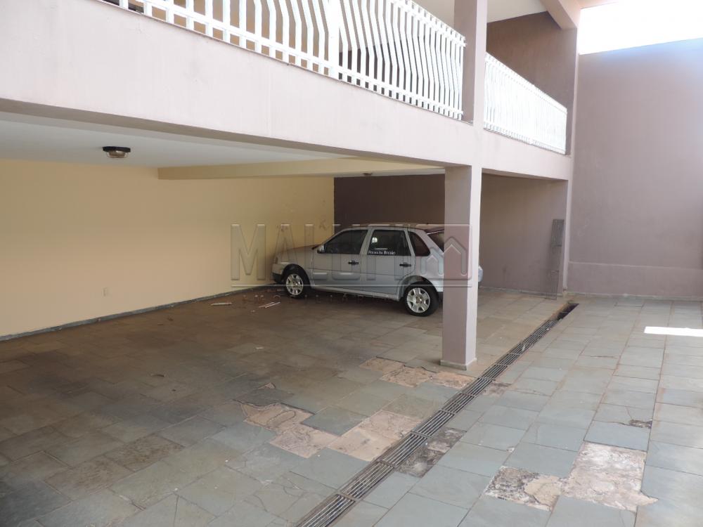 Alugar Casas / Padrão em Olímpia apenas R$ 3.300,00 - Foto 2 Alugar Casas / Padrão em Olímpia apenas R$ 3.300,00 - Foto 2