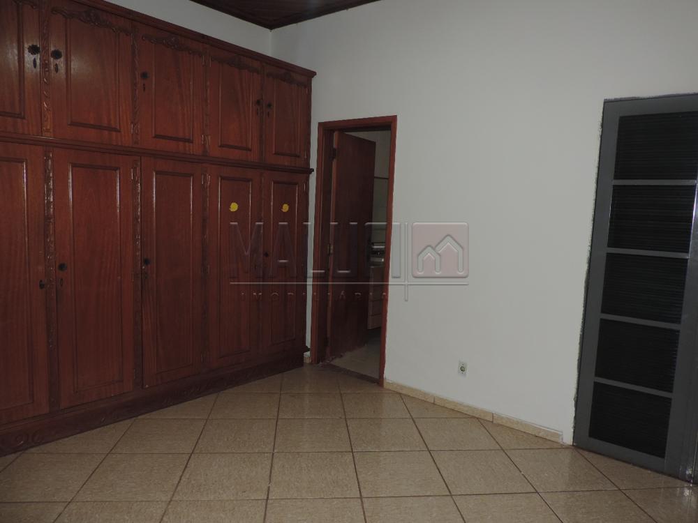 Alugar Casas / Padrão em Olímpia apenas R$ 3.300,00 - Foto 18 Alugar Casas / Padrão em Olímpia apenas R$ 3.300,00 - Foto 18