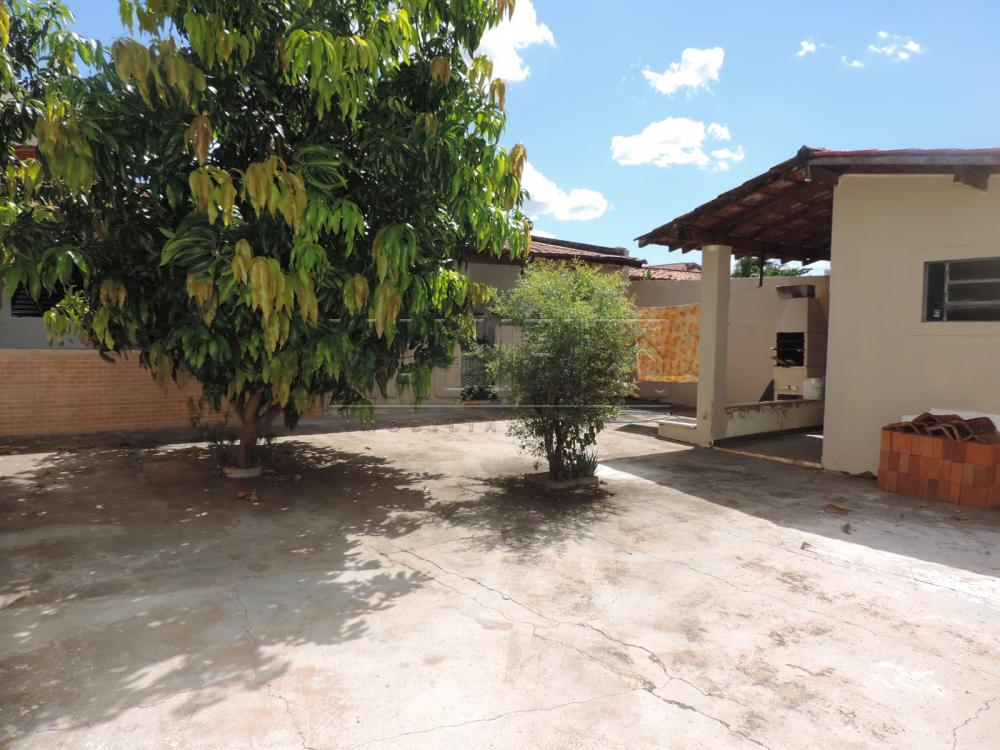 Alugar Casas / Padrão em Olímpia apenas R$ 3.300,00 - Foto 27 Alugar Casas / Padrão em Olímpia apenas R$ 3.300,00 - Foto 27