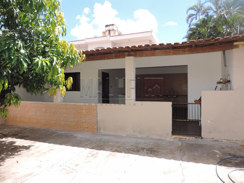Alugar Casas / Padrão em Olímpia apenas R$ 3.300,00 - Foto 29 Alugar Casas / Padrão em Olímpia apenas R$ 3.300,00 - Foto 29