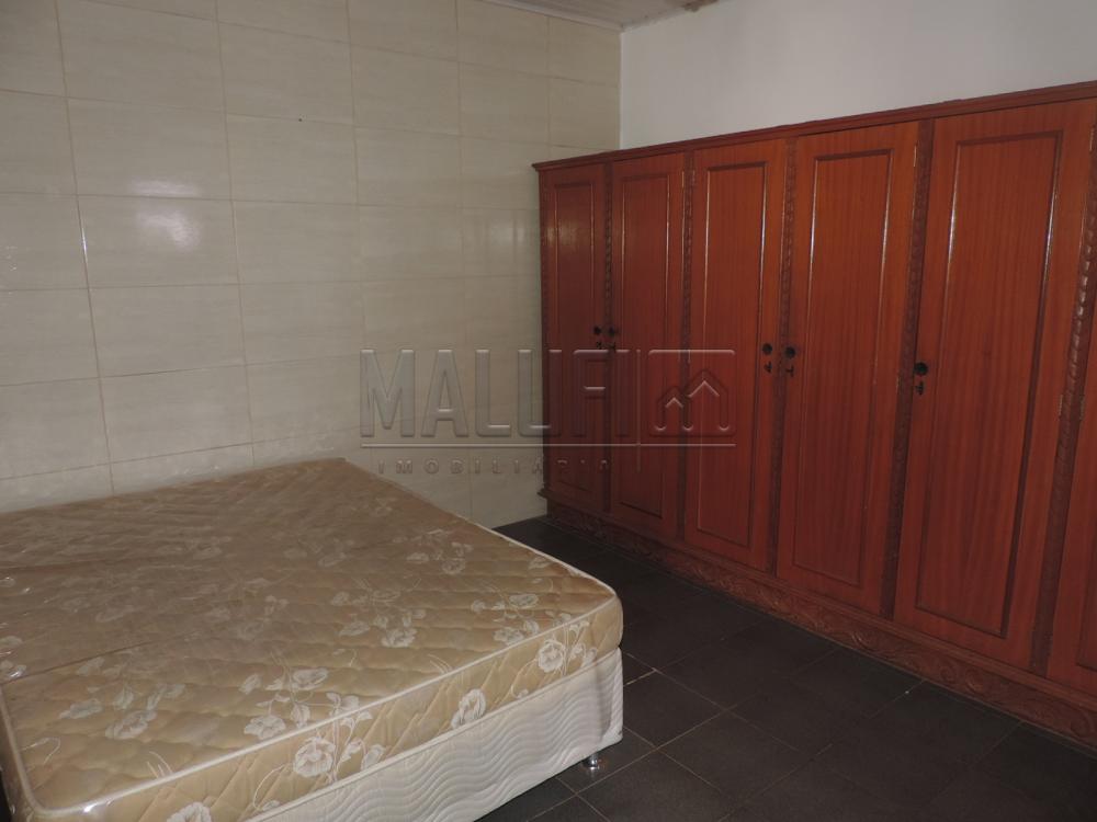 Alugar Casas / Padrão em Olímpia apenas R$ 3.300,00 - Foto 31 Alugar Casas / Padrão em Olímpia apenas R$ 3.300,00 - Foto 31