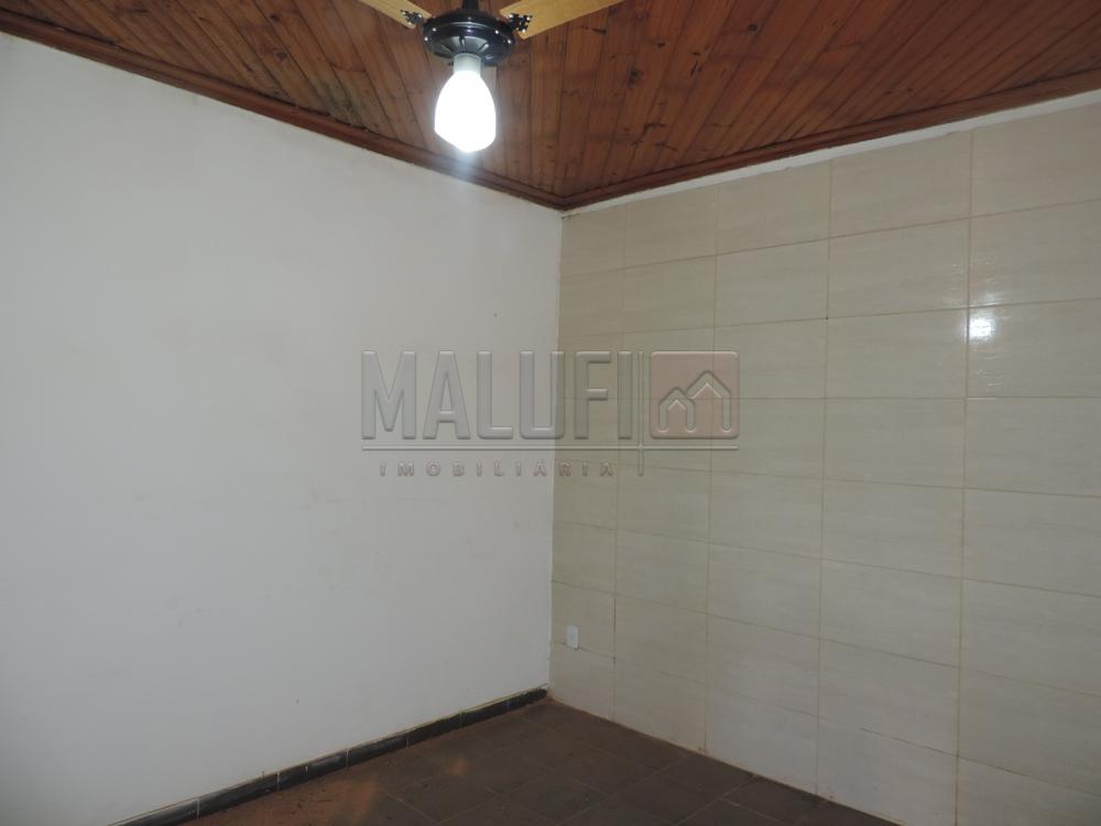 Alugar Casas / Padrão em Olímpia apenas R$ 3.300,00 - Foto 33 Alugar Casas / Padrão em Olímpia apenas R$ 3.300,00 - Foto 33