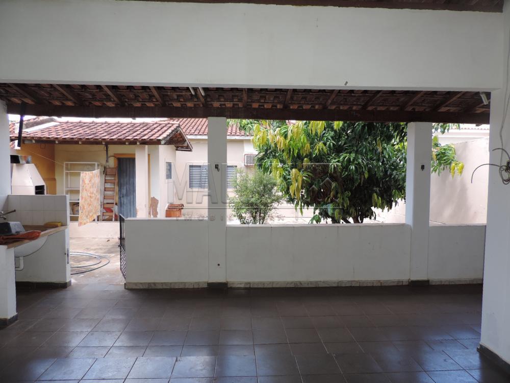 Alugar Casas / Padrão em Olímpia apenas R$ 3.300,00 - Foto 34 Alugar Casas / Padrão em Olímpia apenas R$ 3.300,00 - Foto 34