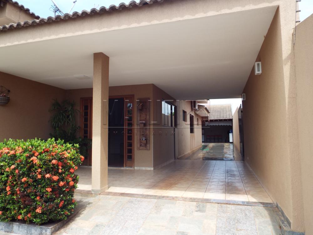 Alugar Casas / Padrão em Olímpia apenas R$ 3.500,00 - Foto 4 Alugar Casas / Padrão em Olímpia apenas R$ 3.500,00 - Foto 4
