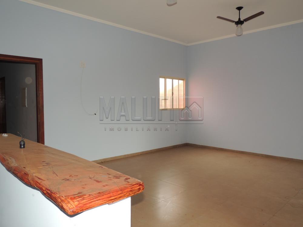 Alugar Comerciais / Ponto Comercial em Olímpia apenas R$ 1.500,00 - Foto 4 Alugar Comerciais / Ponto Comercial em Olímpia apenas R$ 1.500,00 - Foto 4