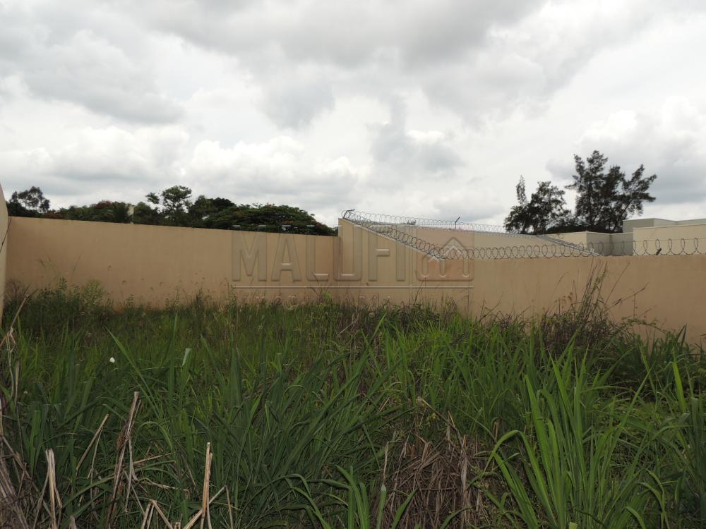 Alugar Comerciais / Ponto Comercial em Olímpia apenas R$ 1.500,00 - Foto 10 Alugar Comerciais / Ponto Comercial em Olímpia apenas R$ 1.500,00 - Foto 10