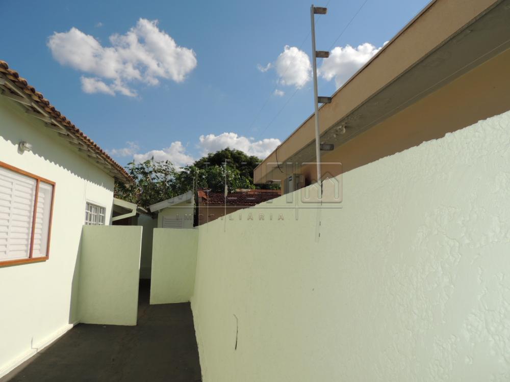 Alugar Casas / Padrão em Olímpia R$ 2.500,00 - Foto 16